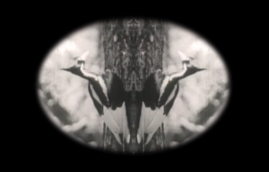Figure-2-Birdpeople-screengrab1-300x192